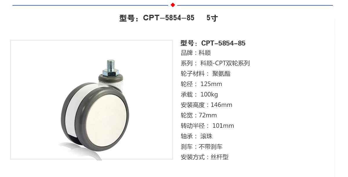 CPT-5854-85  5.jpg
